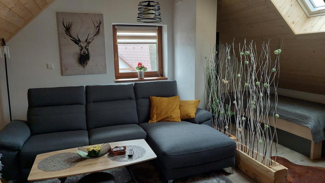 Apartman Pod Smrcinou Vaclavov u Bruntalu Exterior photo